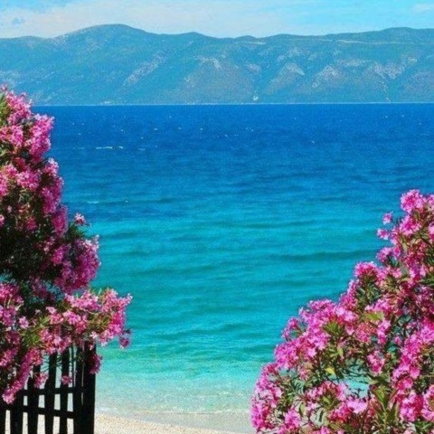 astrology retreat women circle greece