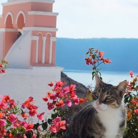 astrology retreat women circle greece